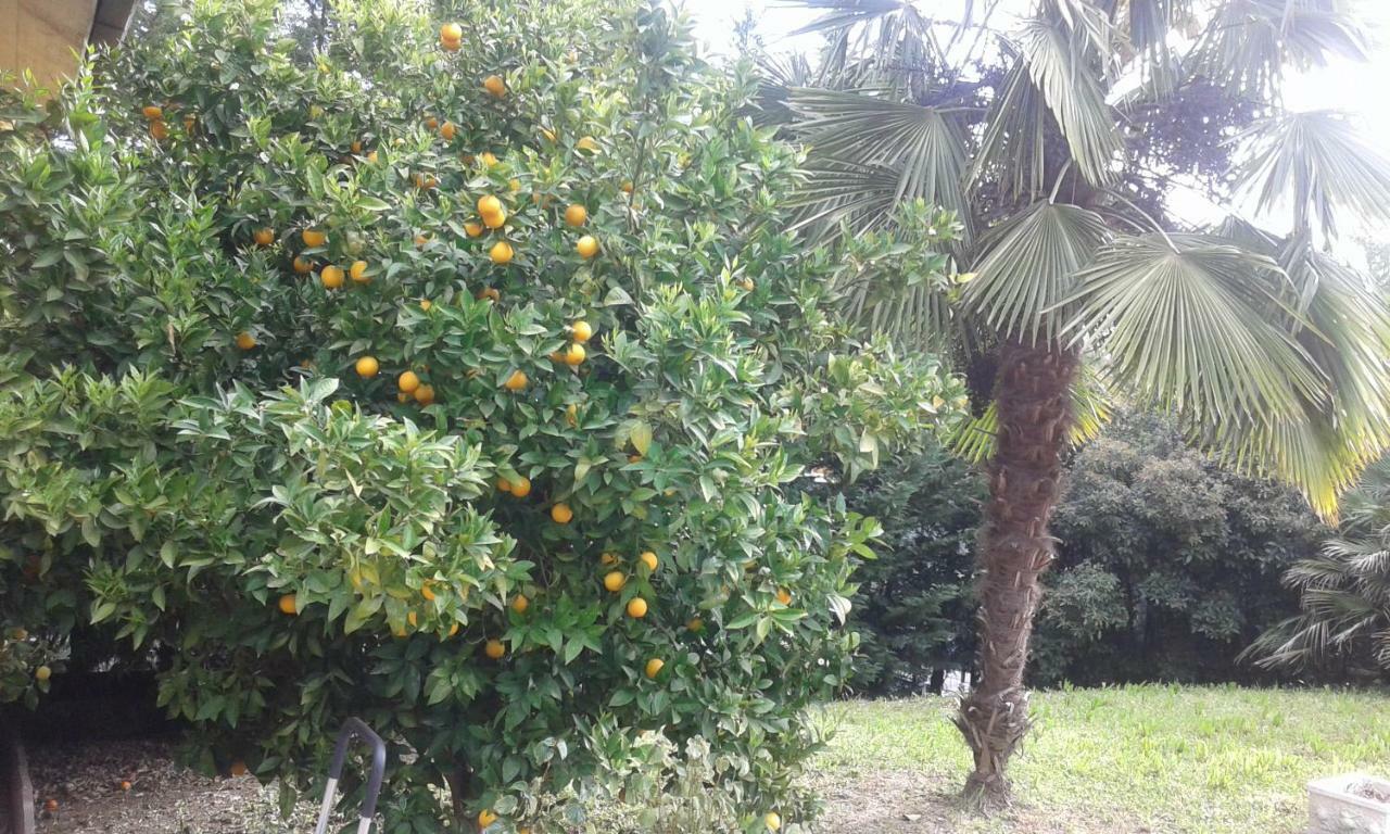 Le Palme Chieti Exterior foto